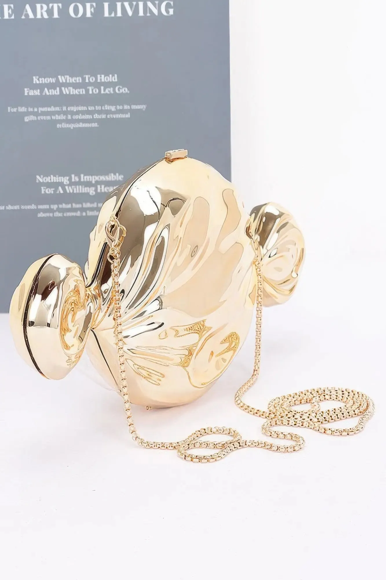 Acrylic Case Bag – A Bold &amp; Sophisticated Statement handbag for Womens