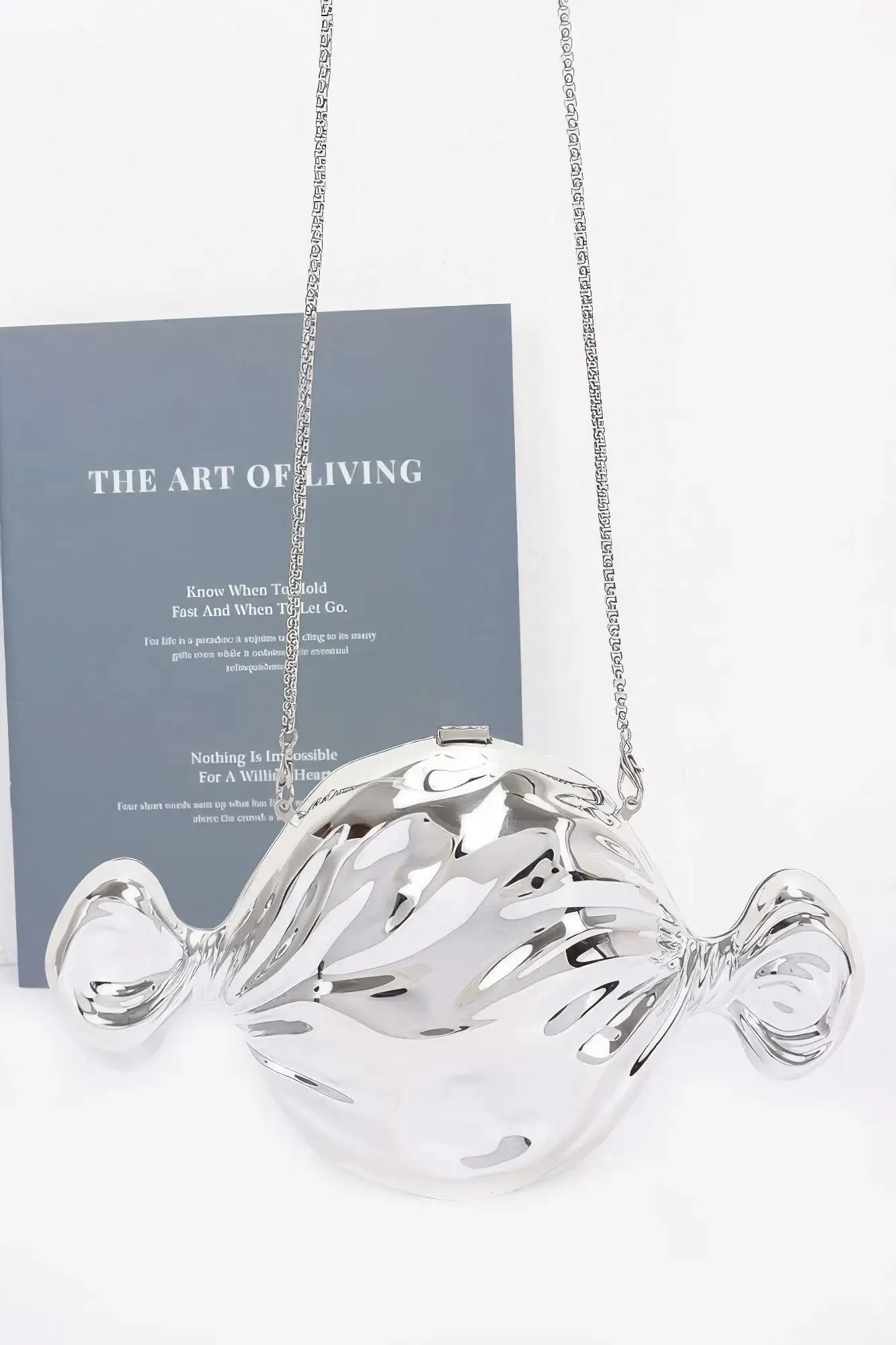 Acrylic Case Bag – A Bold &amp; Sophisticated Statement handbag for Womens