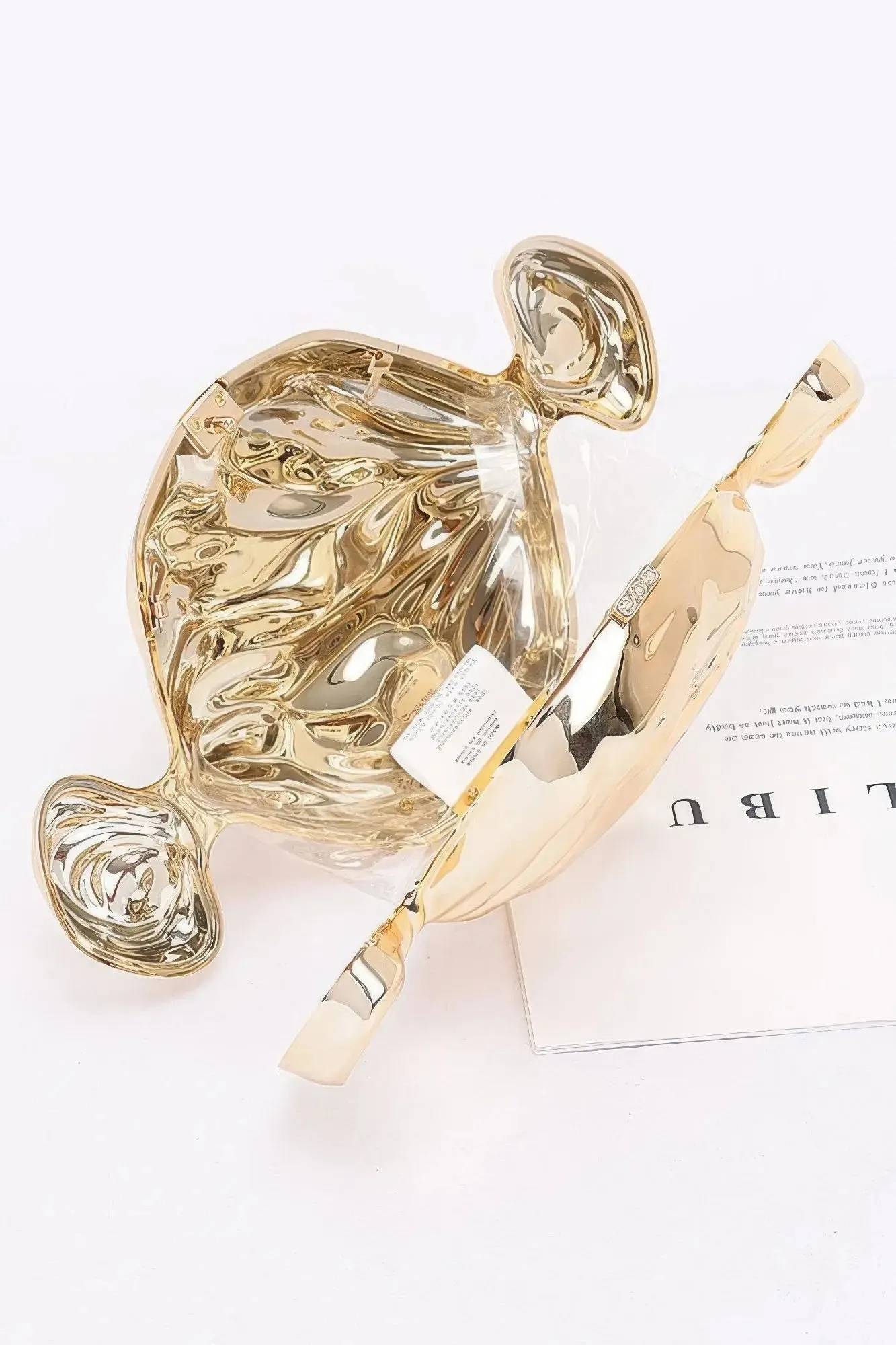 Acrylic Case Bag – A Bold &amp; Sophisticated Statement handbag for Womens