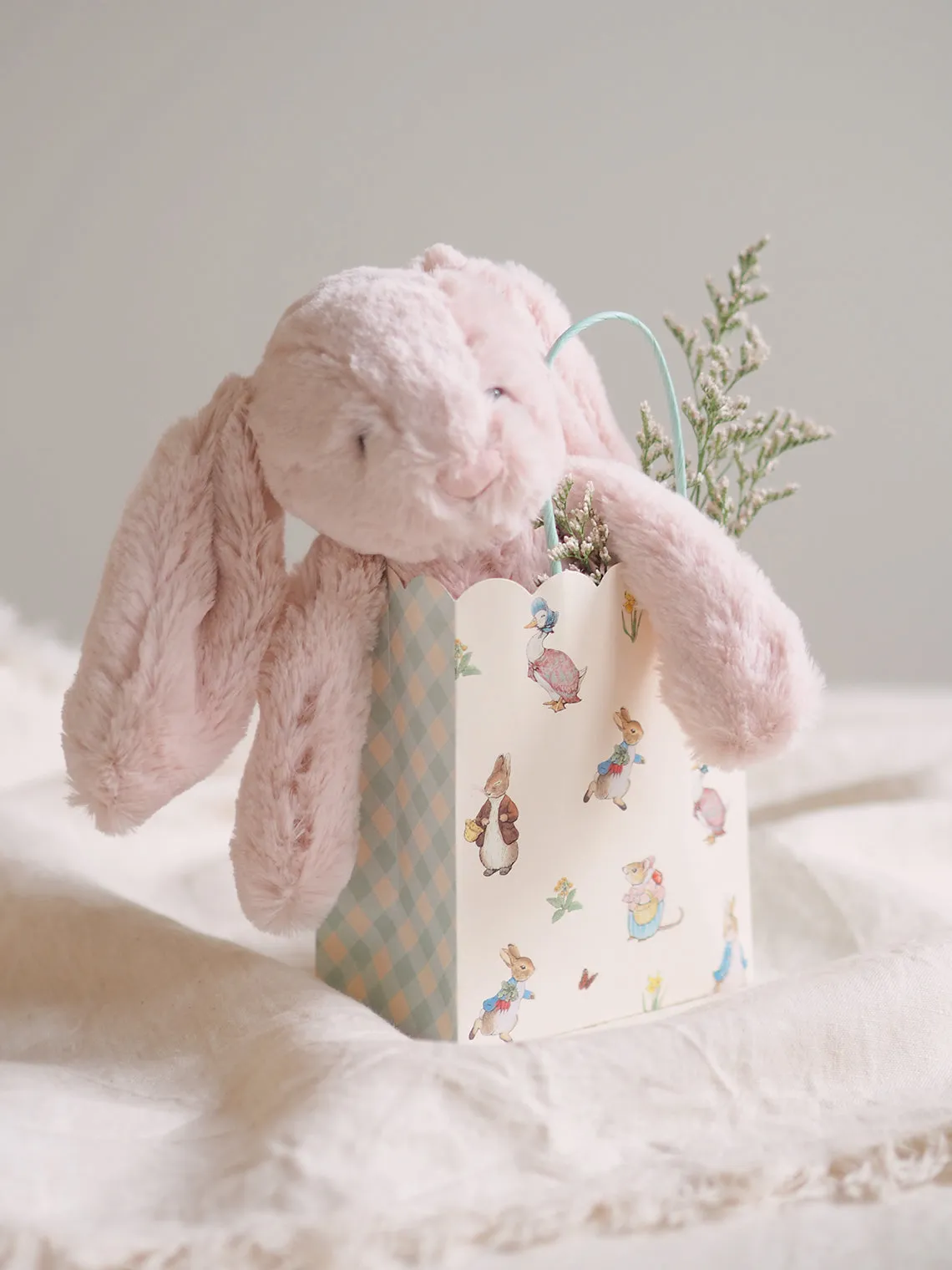 Peter Rabbit & Friends Party Bags